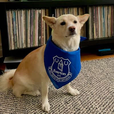 Everton, Vinyl, Craft Beer, Natural Wine, Democratic Socialism. 감자 🥔 🐕