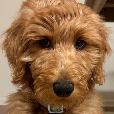 MrNarwhal26's profile picture. 