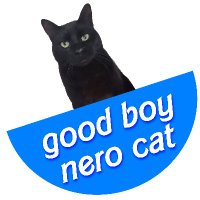 good boy nero cat ❤️ scruf&linx&digger&thomas(@goodboynerocat) 's Twitter Profile Photo