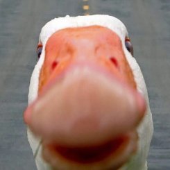 sMoLLiuM's profile picture. Physicist. Analog & Mixed Signal ICs Designer.