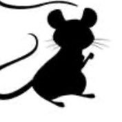 Die 9te Maus (@die9temaus) 's Twitter Profile Photo Die 9te Maus (@die9temaus) 's Twitter Profile Photo
