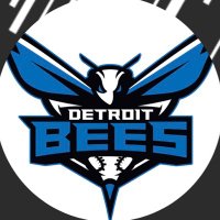 Detroit Bees 18u (@detroitbees18u) 's Twitter Profile