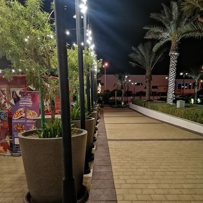 Ali590605's profile picture. متابع للسوق