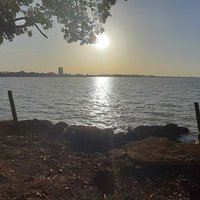 Zewdu Nigus (@niguszewdu) 's Twitter Profile