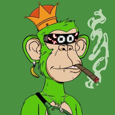 ApeTheFounder's profile picture. WEB DEVELOPER

Discord: apefounder1