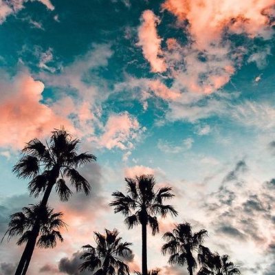 avishiiii_gupta's profile picture. Obsessed with a meme who laughs at memes :')