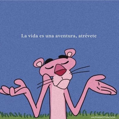 Curiosito1313's profile picture. libre