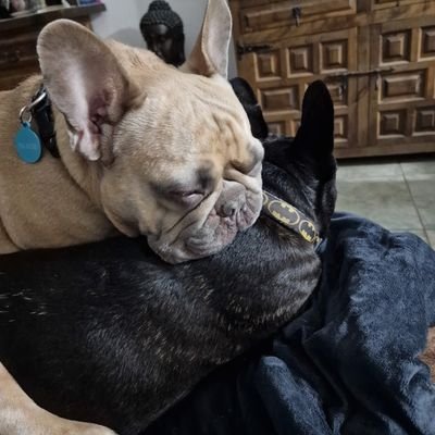 slot27's profile picture. 🇪🇸⚽️🥊🏎🏁
Coventry City, boxing, F1 and anything else