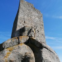luciano lupi🗺🇺🇦☮️🐦 (@lupiluc) 's Twitter Profile