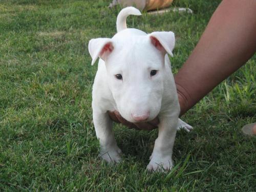 DaniHurben's profile picture. Que poquito nos queda ya!!