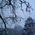 吹雪、ときに雹 (@76slhgwg5) Twitter profile photo