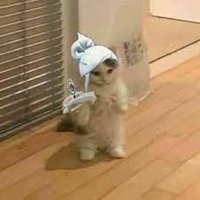 Basti (@b4stibtw) 's Twitter Profile