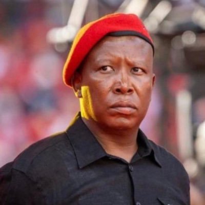 EFF Member Of Parliament. Deputy Head of Elections.