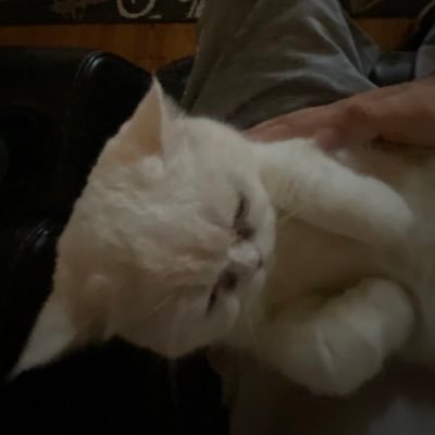 EjCavazos's profile picture. ?