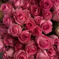 أفراح. (@af_sa8) Twitter profile photo