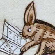 dlqnvmfhvps's profile picture. 으으