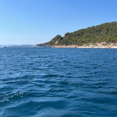 UlutasHasan's profile picture. 