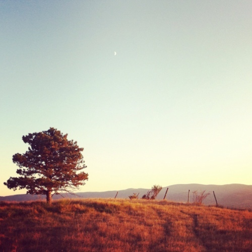 pierreadrien's profile picture. 