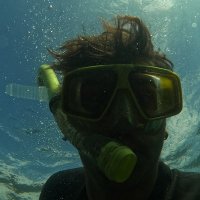 Willem T. Stoll (@willem_stoll815) 's Twitter Profile