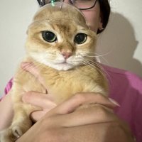 cq (@cankukrts) 's Twitter Profile Photo