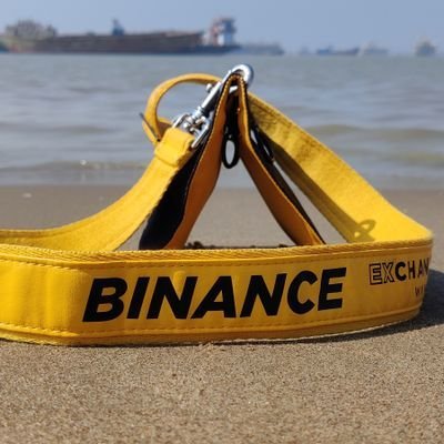 Let's send #BNB to the MOON 11 Angel of @BINANCE @BinanceAngels II #Crypto is in my blood #BNB #BTC #ETH #SOL #APT All tweets/retweets are my personal #OPINION.