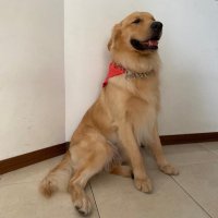 Jorge sosa (@jsosav23) 's Twitter Profile Photo