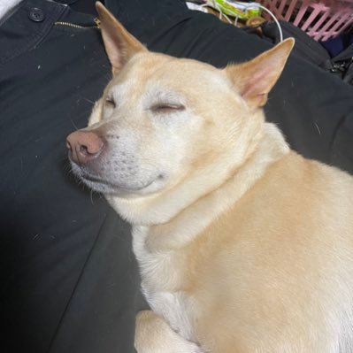 CvwqHSDijz92175's profile picture. 大事にしたいこと、感謝すること、見返りを求めないこと、他人の領域に踏み込まないこと。