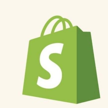 Shopify store expert