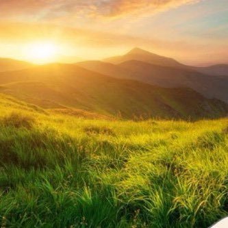 EliteZidane's profile picture. 