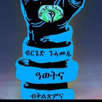 Peace (ንህዝብታት )Eri💙🌿and💙🌿 Tigray💙🌿(@Eri24051993) 's Twitter Profile Photo