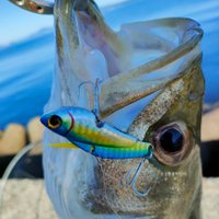 ナンチャン (@nanbu2000) 's Twitter Profile