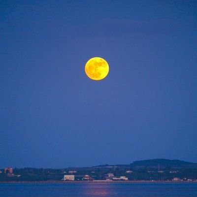 tenpaisan's profile picture. 専門職。永遠に中学生。
エビ中、スタダ。

熱しやすく冷めやすい。
今はリアル脱出ゲーム。