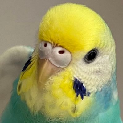 2021年8月5日(推定)生まれのプリンセス🌱愛称はキャメちゃんです。無言フォロー失礼致します🙏