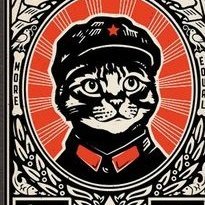 espinosagaona1's profile picture. soy academico y socialista marxita pro4T
