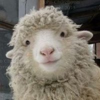 Enlightened (Reloaded) (@enlightened_v2) 's Twitter Profile
