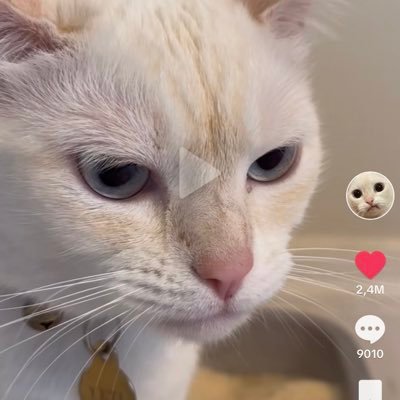 ilovecartidaddy's profile picture. 