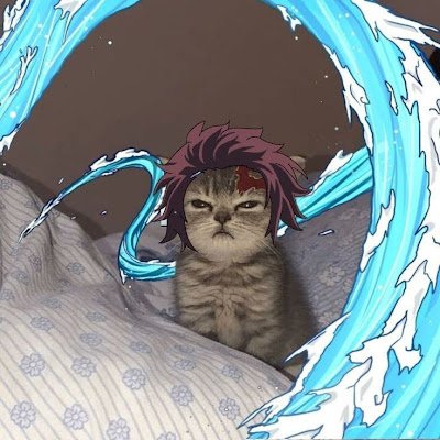 cunha7759's profile picture. 