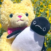16号🌈✈️🍌🐟🎲📚 (@16goupero) 's Twitter Profile