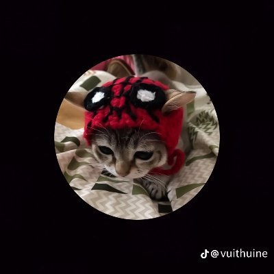 PhcThnh46929378's profile picture. 