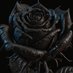 blackflower (@kingdemon44p) Twitter profile photo blackflower (@kingdemon44p) Twitter profile photo
