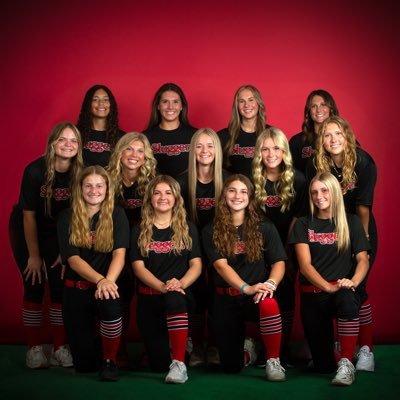 Louisville Lady Sluggers Huecker-Norwood 16U