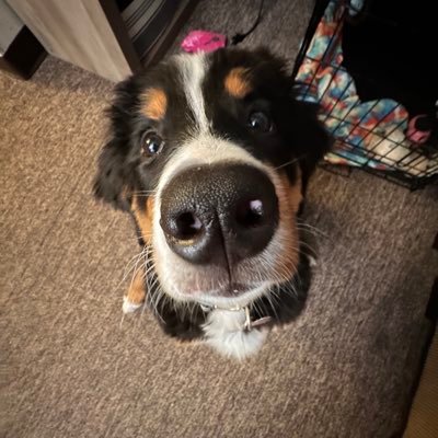 drunckenclam's profile picture. movies, movies,movies