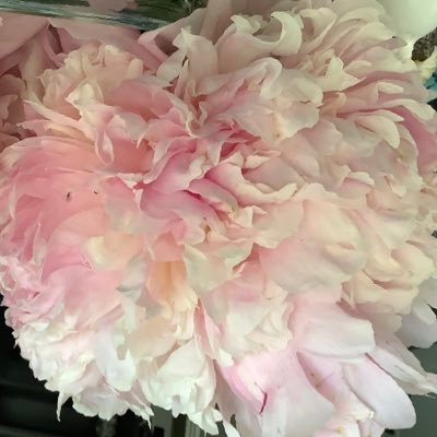 AlaskanLady65's profile picture. 