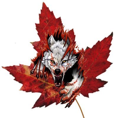 Twitch Affiliate | RPG, FPS, MMORPG Player | Cannabis Enthusiast | Half-ass musician | 🇨🇦Canadian 🇨🇦