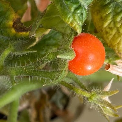 Cashie000's profile picture. 