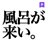 kaoru01063869