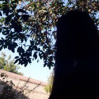 Carolina (@babayaga81) 's Twitter Profile