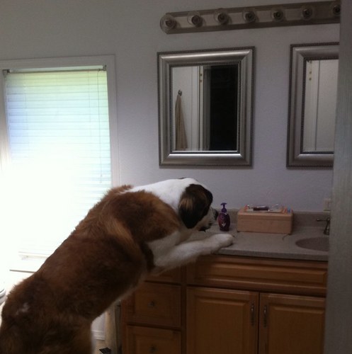 Lifeofchuck's profile picture. 