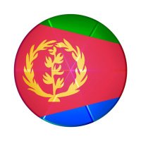 Henok Geb🌿🇪🇷(@HenokGeb) 's Twitter Profile Photo