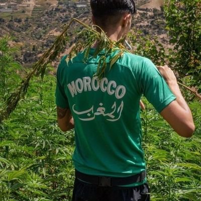 Rthfh43154458's profile picture. 